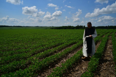 image14