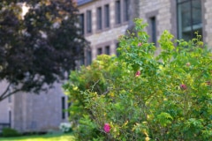 new_melleray_land_4 - 1