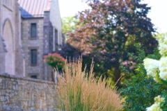 new_melleray_land_5 - 1