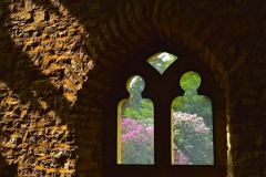 image23